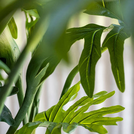 Konstväxt Philodendron - ↕160cm