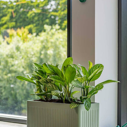Pottery Pots Jort Linea M, Sage Green