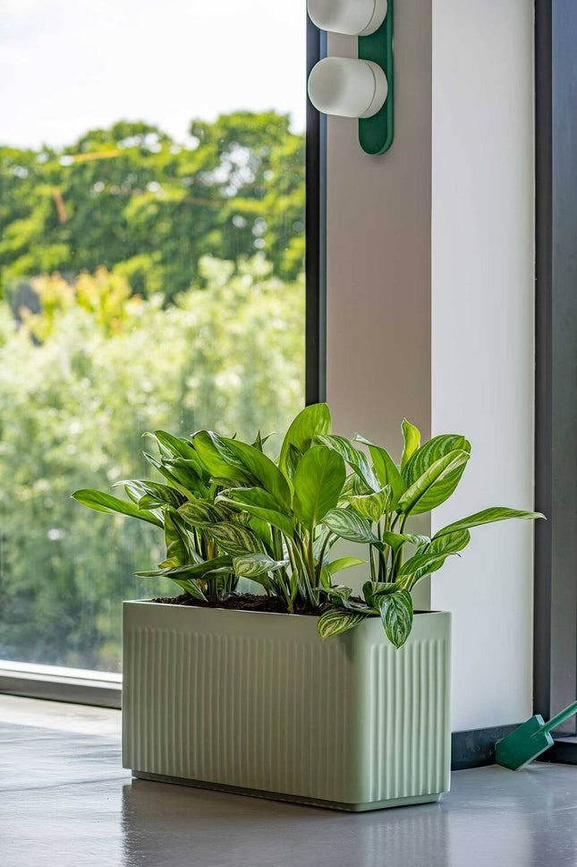 Pottery Pots Jort Linea M, Sage Green