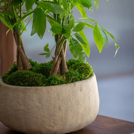 Pottery Pots Aya S, Wabi beige Ø30 cm