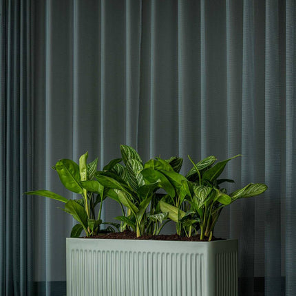 Pottery Pots Jort Linea M, Sage Green