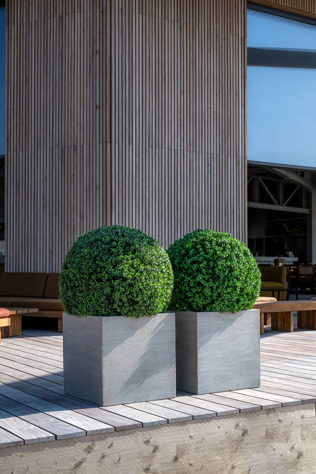Artificial Buxus plant XS, 40 cm