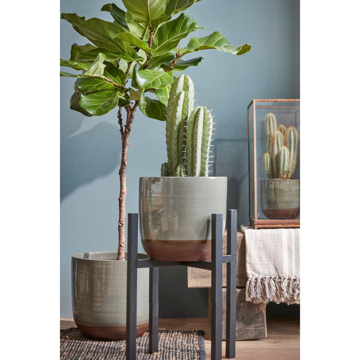 Plantenstandaard XL - L34 x B34 x H50 cm - Metaal - Zwart