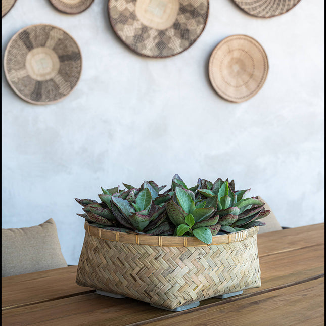Pottery Pots Nala Low L, Bamboo Ø46 cm