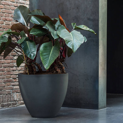 Pottery Pots Jesslyn S, Volcano Black Ø47 cm