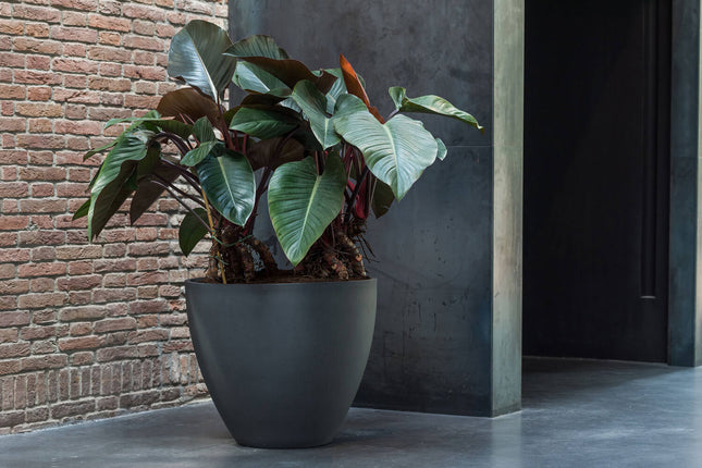 Pottery Pots Jesslyn S, Volcano Black Ø47 cm
