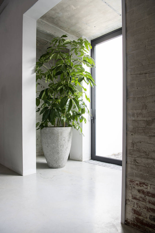 Pottery Pots Bernd XL, Imperial White Ø63 cm