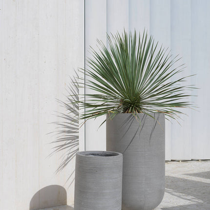 Pottery Pots Cody high L, Dark Grey Ø37 cm (horizontaal geribbeld)