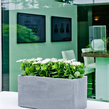 Pottery Pots Balcony XL, Grijs