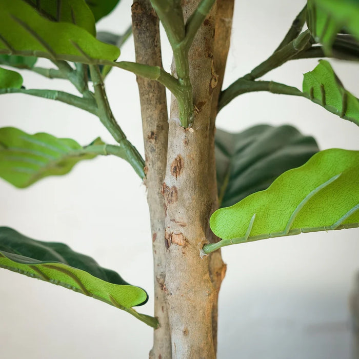 Kunstplant Ficus Lyrata - Vioolbladplant - ↕185 cm