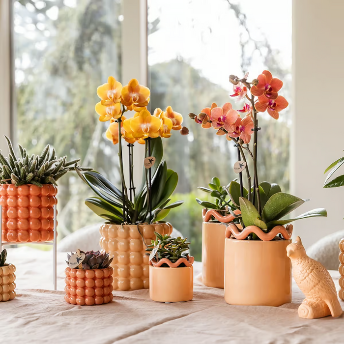 Kolibri Home | Funky sierpot - Orange - Ø9cm
