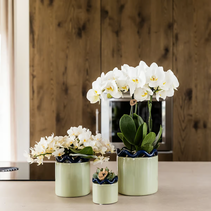 Kolibri Home | Funky sierpot - Green - Ø9cm