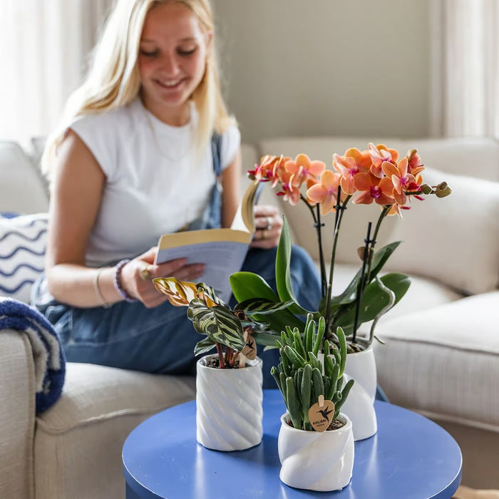 Kolibri Home | Candy sierpot | Hoog - White - Ø9cm