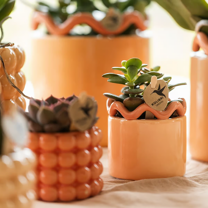 Kolibri Home | Funky sierpot - Orange - Ø9cm