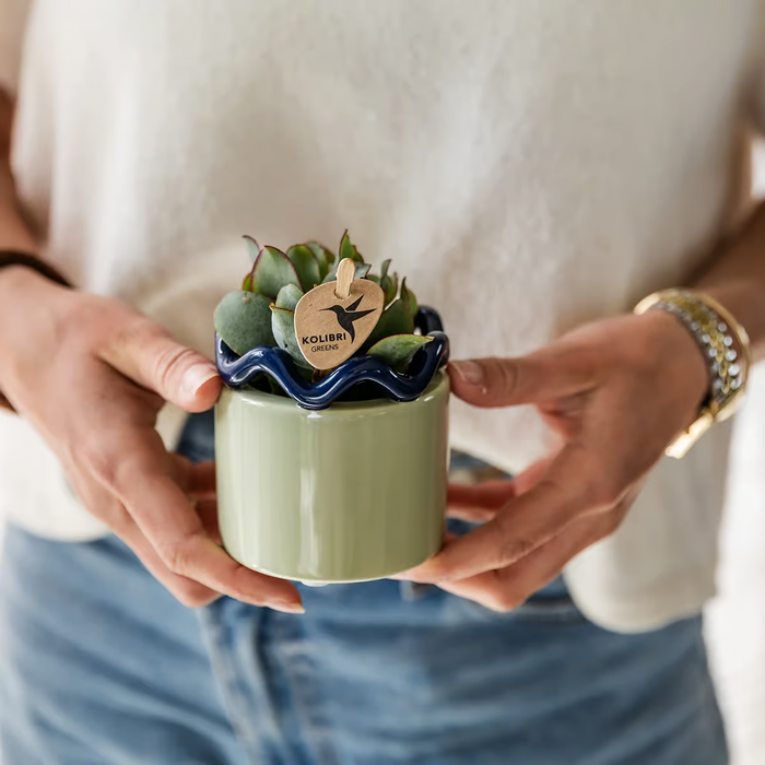 Kolibri Home | Funky sierpot - Green - Ø9cm