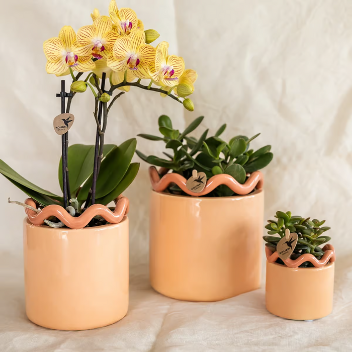 Kolibri Home | Funky sierpot - Orange - Ø9cm