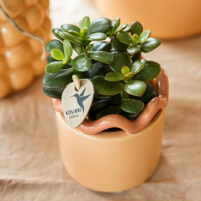 Kolibri Home | Funky sierpot - Orange - Ø9cm