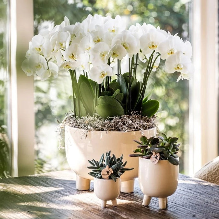 Kolibri Home | Gummy pot travertine - Ø12cm