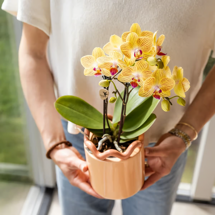 Kolibri Home | Funky sierpot - Orange - Ø9cm