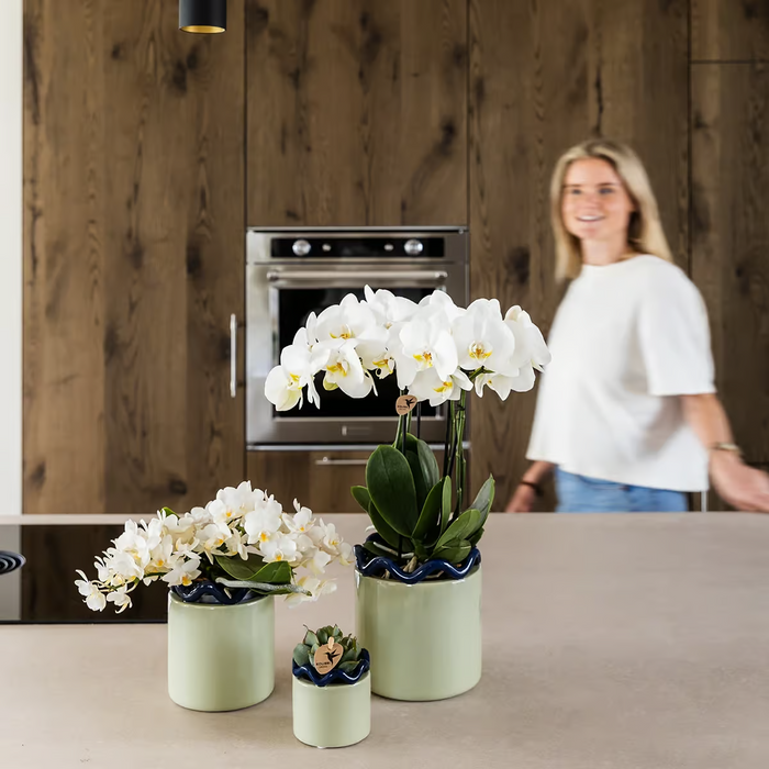 Kolibri Home | Funky sierpot - Green - Ø9cm