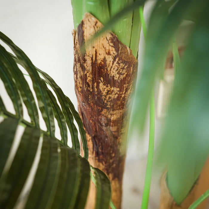 Kunstplant Kentia Palm - ↕170cm