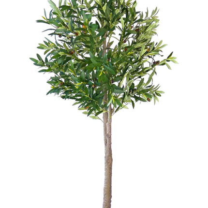 Kunstplant Olijfboom - ↕160cm
