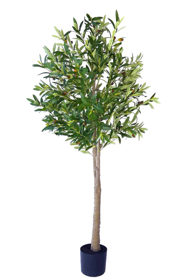 Kunstplant Olijfboom - ↕160cm