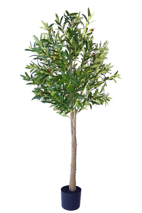Kunstplant Olijfboom - ↕160cm