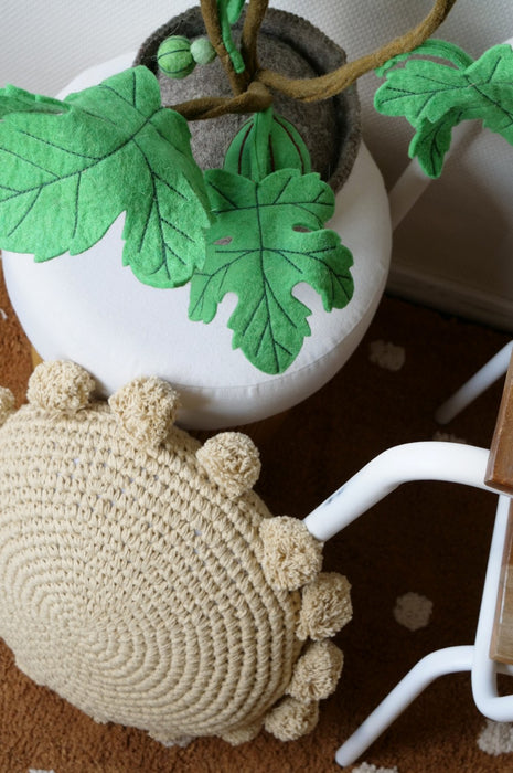 KidsDepot vilten vijgenboom (Ficus carica) - groen