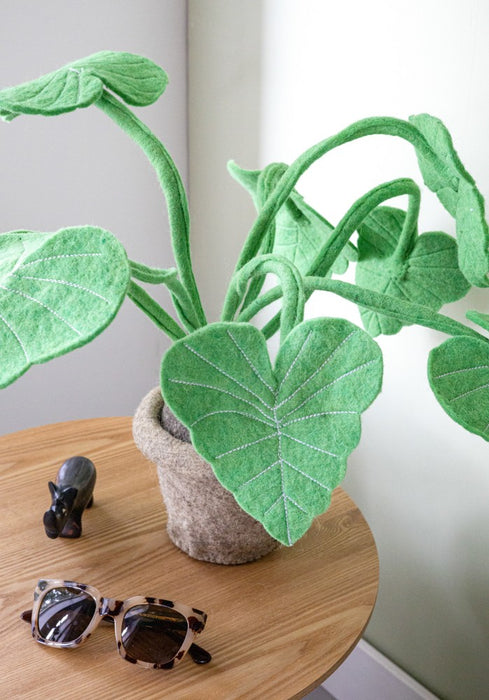 KidsDepot vilten plant Alocasia - Groen