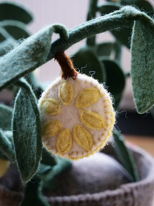 Kidsdepot vilten plant Citrus