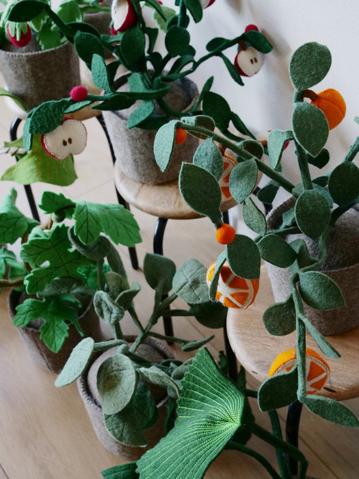 Kidsdepot vilten plant Oranje - Sinaasappelplant