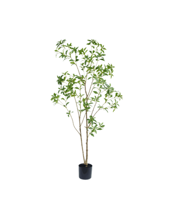 Pieris japonica artificial tree 180 cm