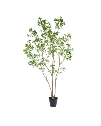 Pieris japonica artificial tree 240 cm