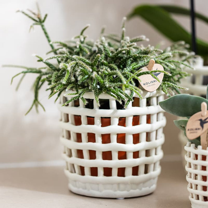 Kolibri Home | Mesh sierpot - Ø9cm