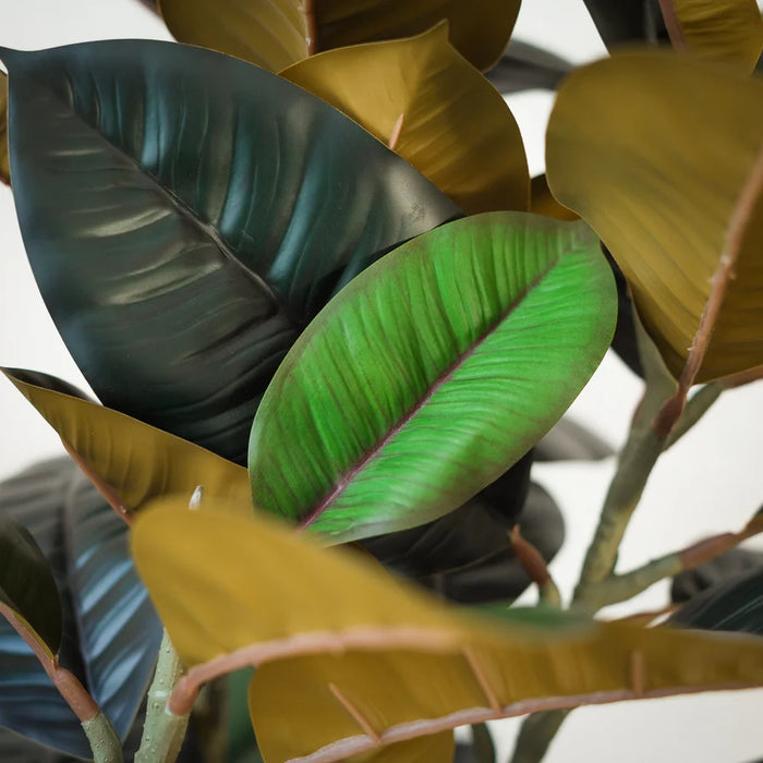 Kunstplant Ficus Elastica met 3 stammen - ↕140cm