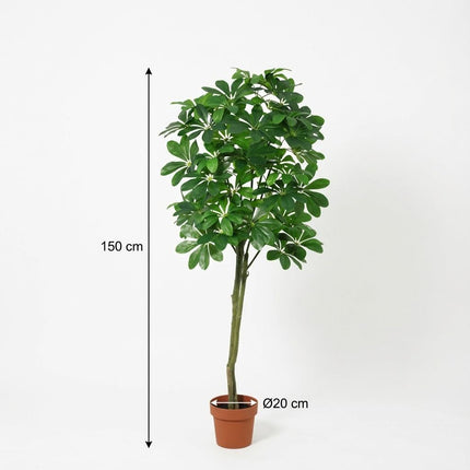Sztuczna roślina Pachira Aquatica - ↕150cm