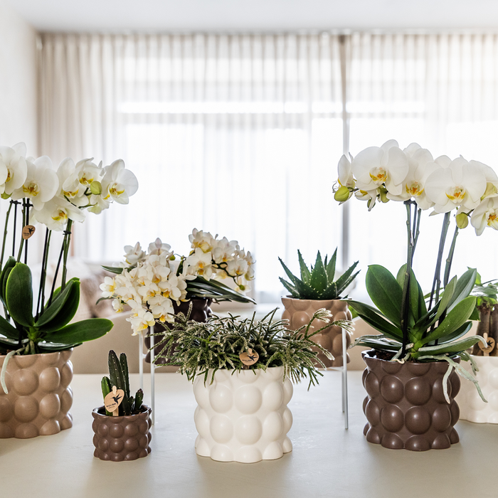 Kolibri Home | Cotton sierpot - White - Ø9cm
