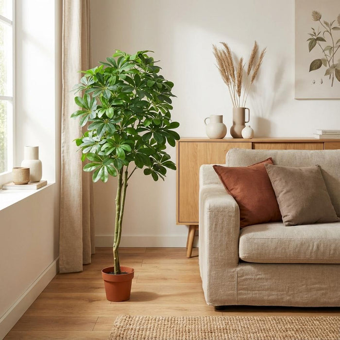 Kunstplant Pachira Aquatica - ↕150cm