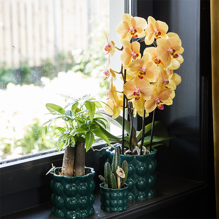 Kolibri Home | Cotton Shine decorative pot - Green - Ø12cm