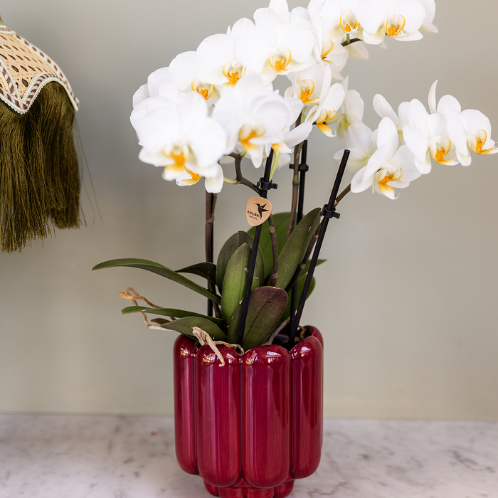 Kolibri Home | Retro Shine sierpot - Red - Ø9cm