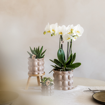Kolibri Home | Doniczka dekoracyjna z bawełny - Piasek - Ø9 cm