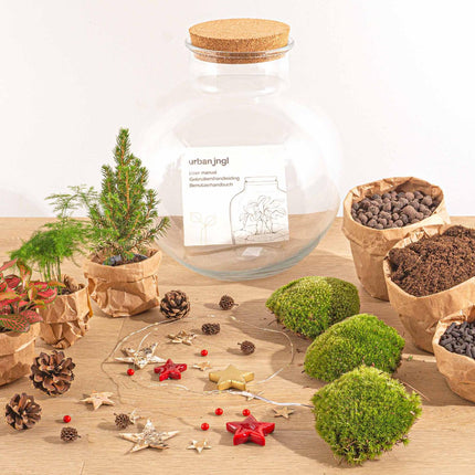 Bolder Bob Bonsai na Boże Narodzenie - DIY - ↕30 cm