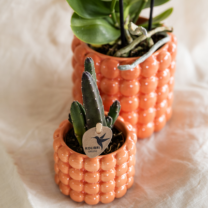 Pot décoratif Colibris | Coquelicot - Orange - Ø6cm