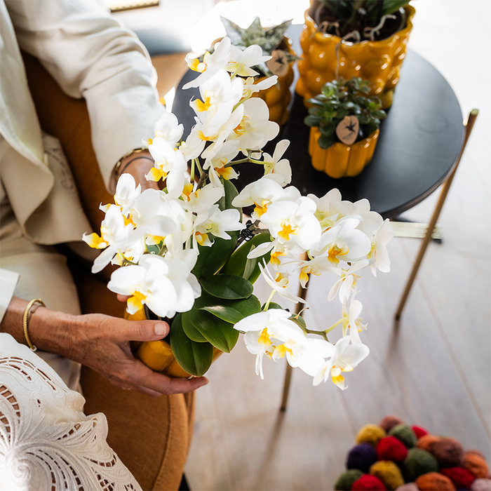 Planten cadeau beterschap | Lausanne orchidee met pot, kaart & cadeautas