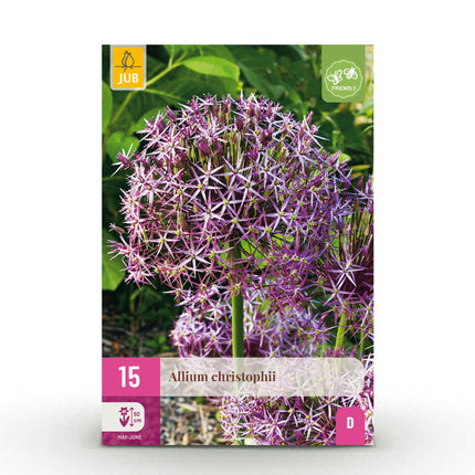 Bulbes de fleurs - Allium Christophii - Violet - 15 pièces - Calibre 10/2 - Paquet XXL