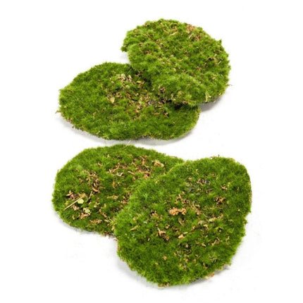 Assiette en mousse – Mousse verte – Lot de 4 – Mousse artificielle