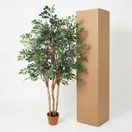 Sztuczna roślina Ficus Exotica - ↕150 cm