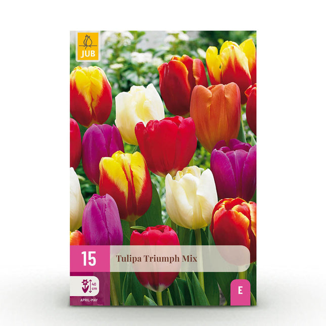 Bulbi da fiore - Mix Tulipani Triumph - Vari colori - 15 pezzi - Misura bulbo 11/12 - Confezione XXL
