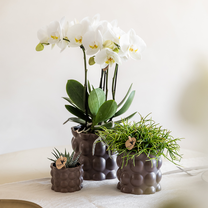 Kolibri Home | Doniczka dekoracyjna bawełniana - Brązowa - Ø6 cm